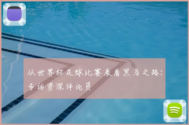 从世界杯足球比赛表看黑马之路：专访资深评论员