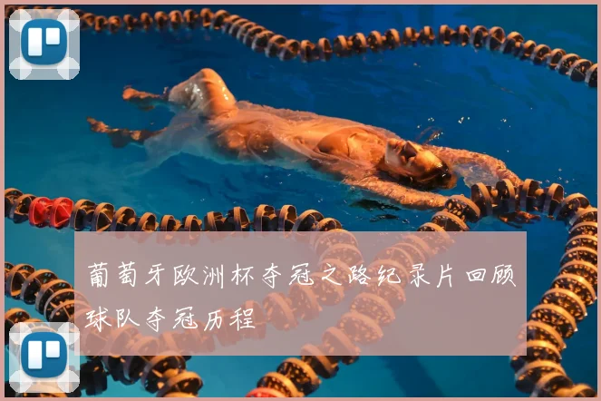葡萄牙欧洲杯夺冠之路纪录片回顾球队夺冠历程