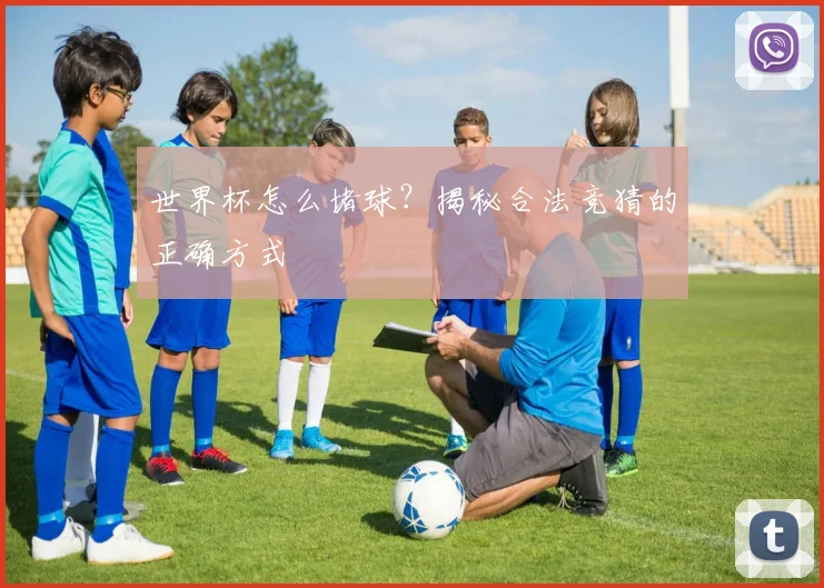 世界杯怎么堵球？揭秘合法竞猜的正确方式