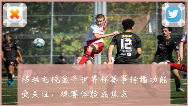 移动电视盒子世界杯赛事转播功能受关注,观赛体验成焦点