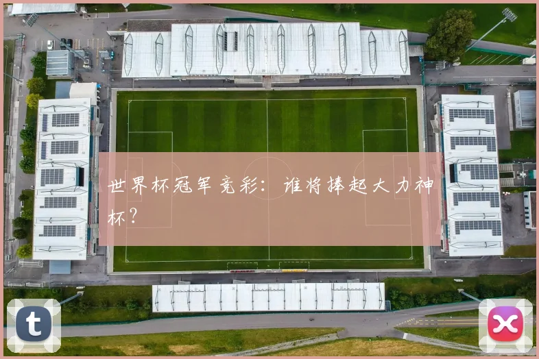 世界杯冠军竞彩：谁将捧起大力神杯？