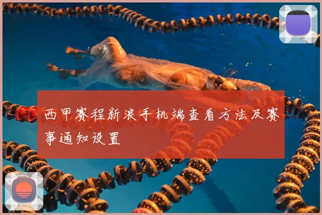 西甲赛程新浪手机端查看方法及赛事通知设置