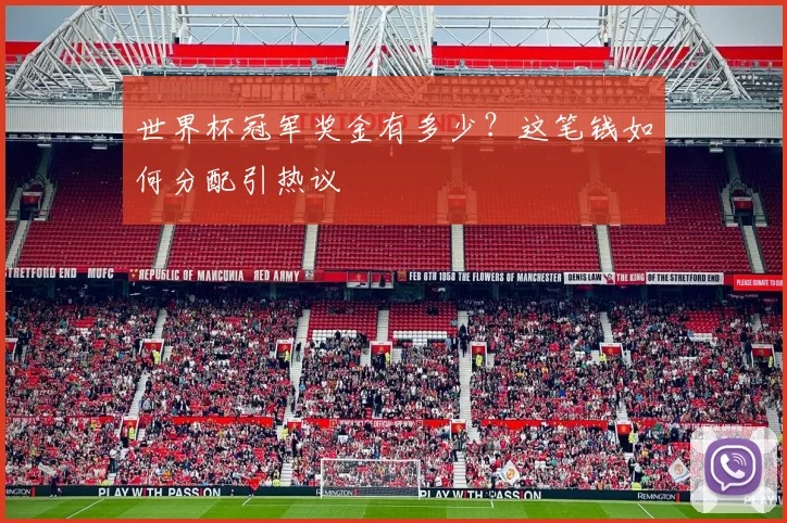 世界杯冠军奖金有多少？这笔钱如何分配引热议
