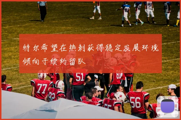 特尔希望在热刺获得稳定发展环境倾向于续约留队