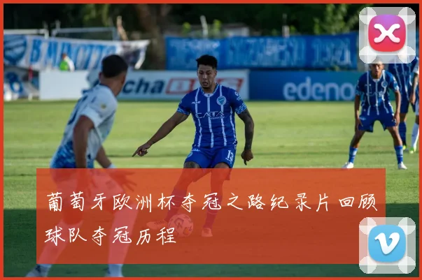 葡萄牙欧洲杯夺冠之路纪录片回顾球队夺冠历程